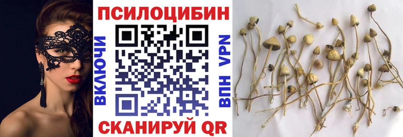 кракен как зайти наркота Шумиха Псилоцибиновые грибы MAGIC MUSHROOMS
